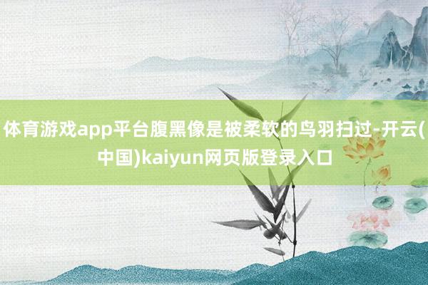 体育游戏app平台腹黑像是被柔软的鸟羽扫过-开云(中国)kaiyun网页版登录入口